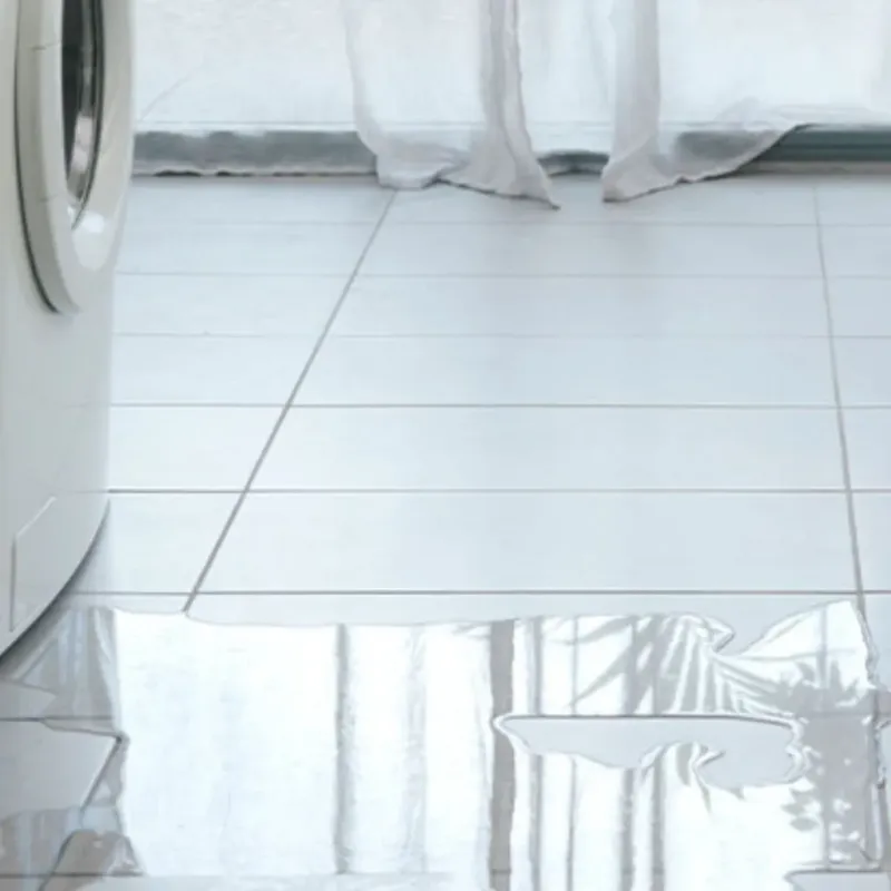 Appliance Leak Cleanup in Weaver, AL