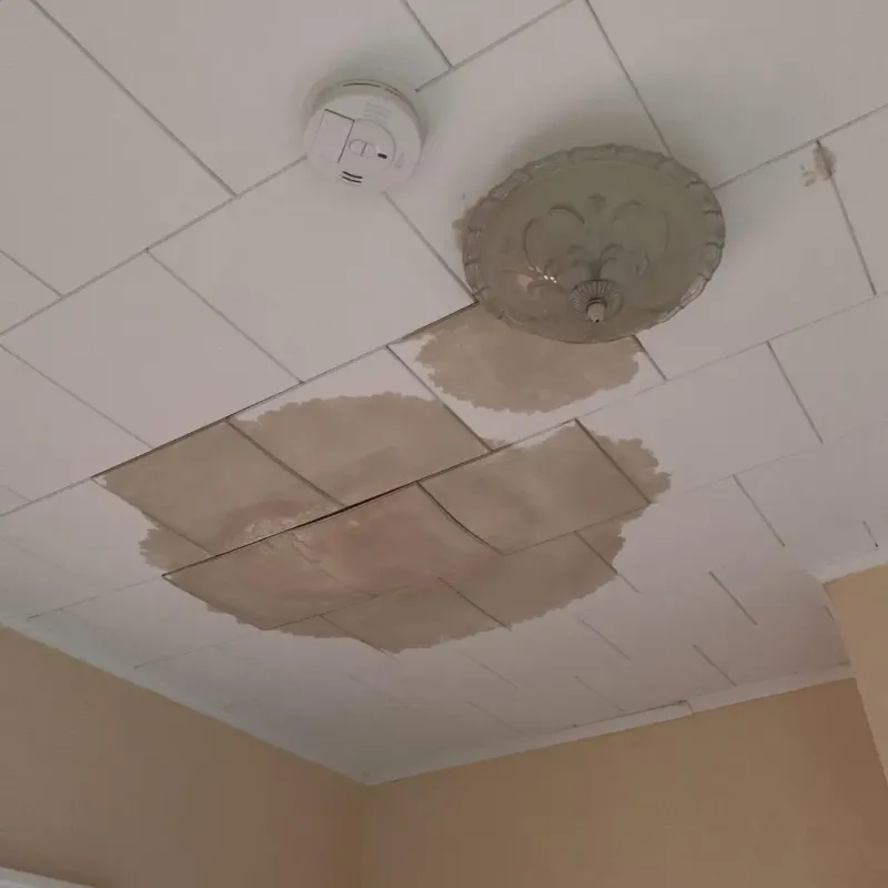 Ceiling Water Damage Repair in Weaver, AL