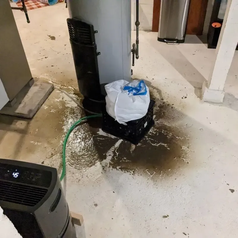 Sewage Backup Cleanup Service in Weaver, AL
